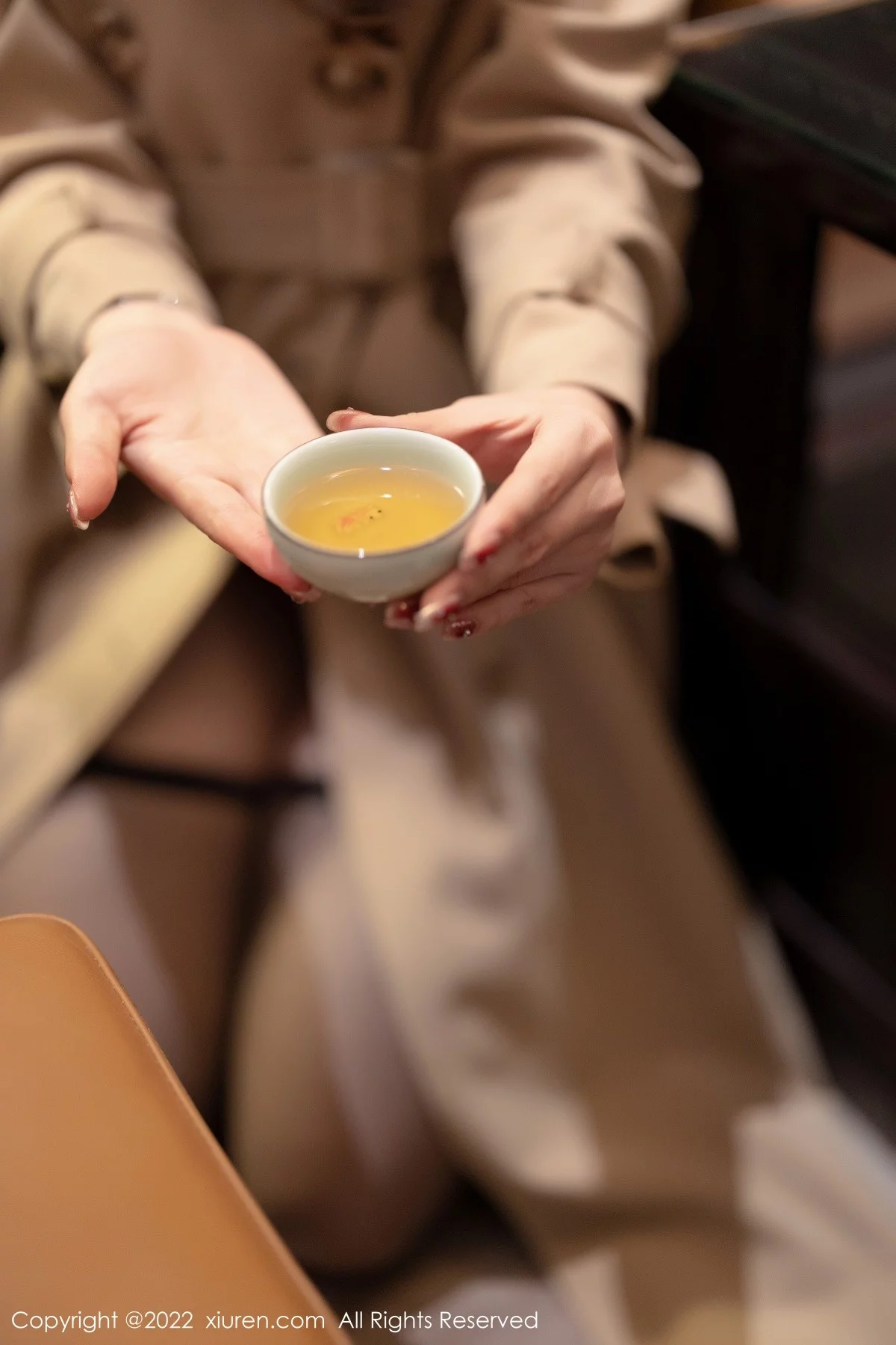 [[XiuRen秀人网]秀人网]No.4543_女神芝芝Booty性感深色情趣旗袍配黑丝吊袜秀翘臀美腿诱惑写真70P