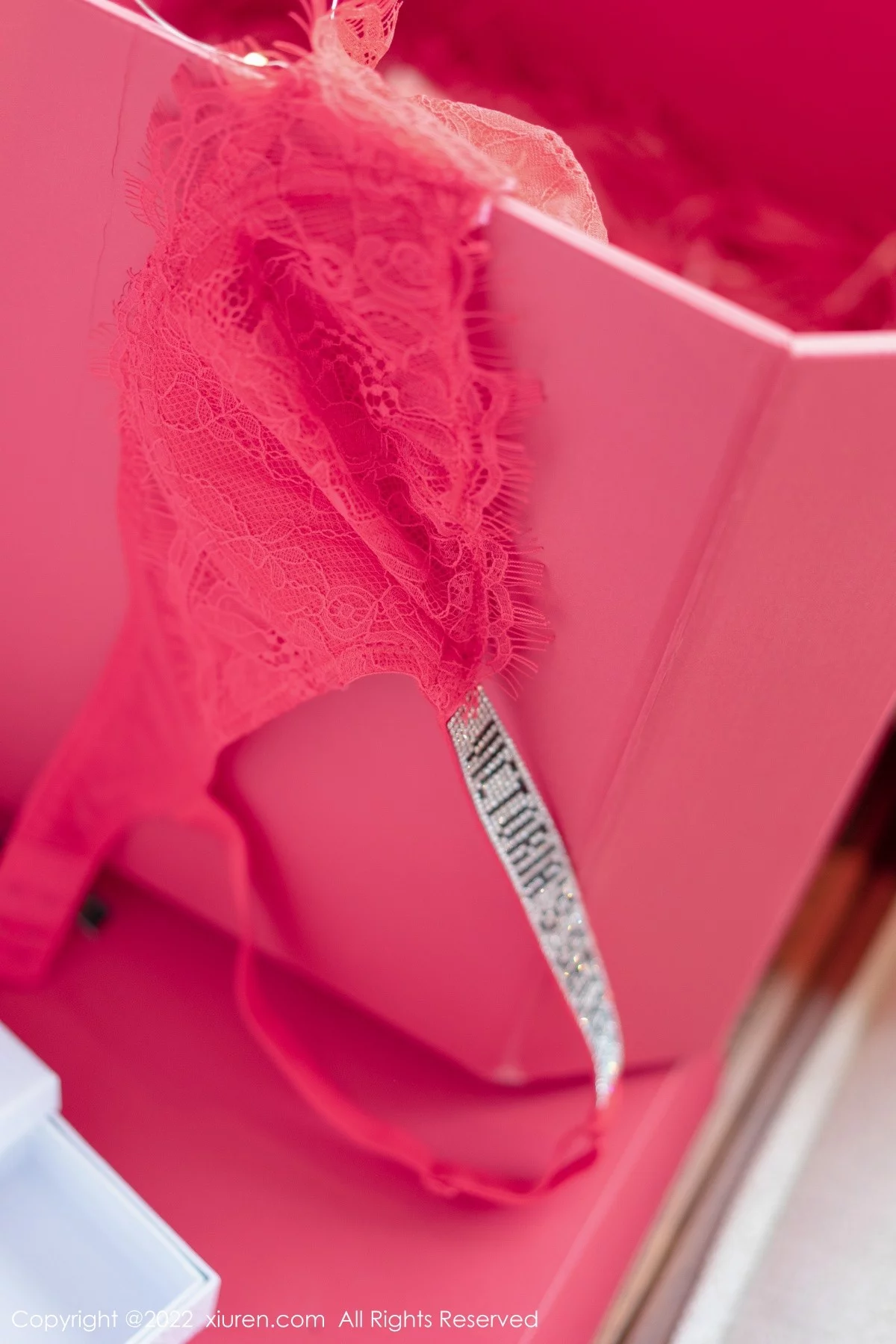 [[XiuRen秀人网]秀人网]No.4580_模特允爾情人节主题脱连衣裙露蕾丝内衣秀豪乳翘臀诱惑写真74P