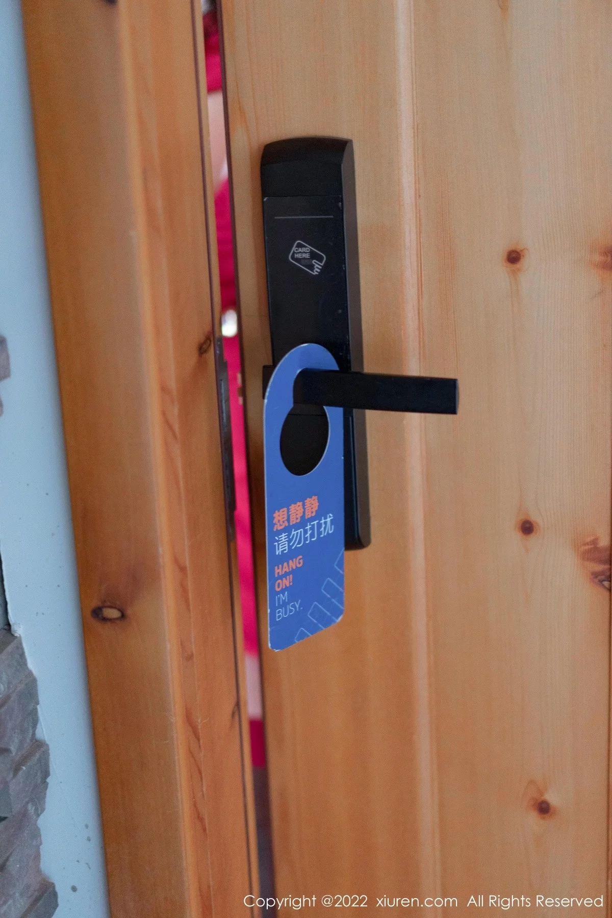 [[XiuRen秀人网]秀人网]No.4580_模特允爾情人节主题脱连衣裙露蕾丝内衣秀豪乳翘臀诱惑写真74P