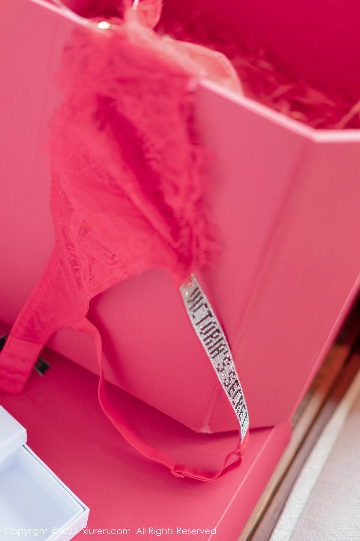 [[XiuRen秀人网]秀人网]No.4580_模特允爾情人节主题脱连衣裙露蕾丝内衣秀豪乳翘臀诱惑写真74P