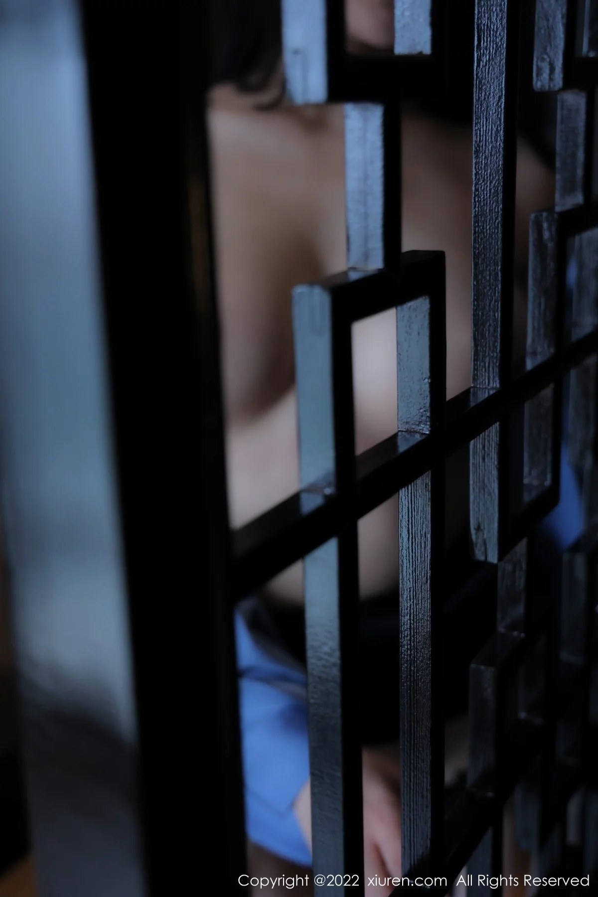 [[XiuRen秀人网]秀人网]No.4620_模特顾乔楠Cora私房半脱OL制服露蕾丝内衣黑丝吊袜诱惑写真83P