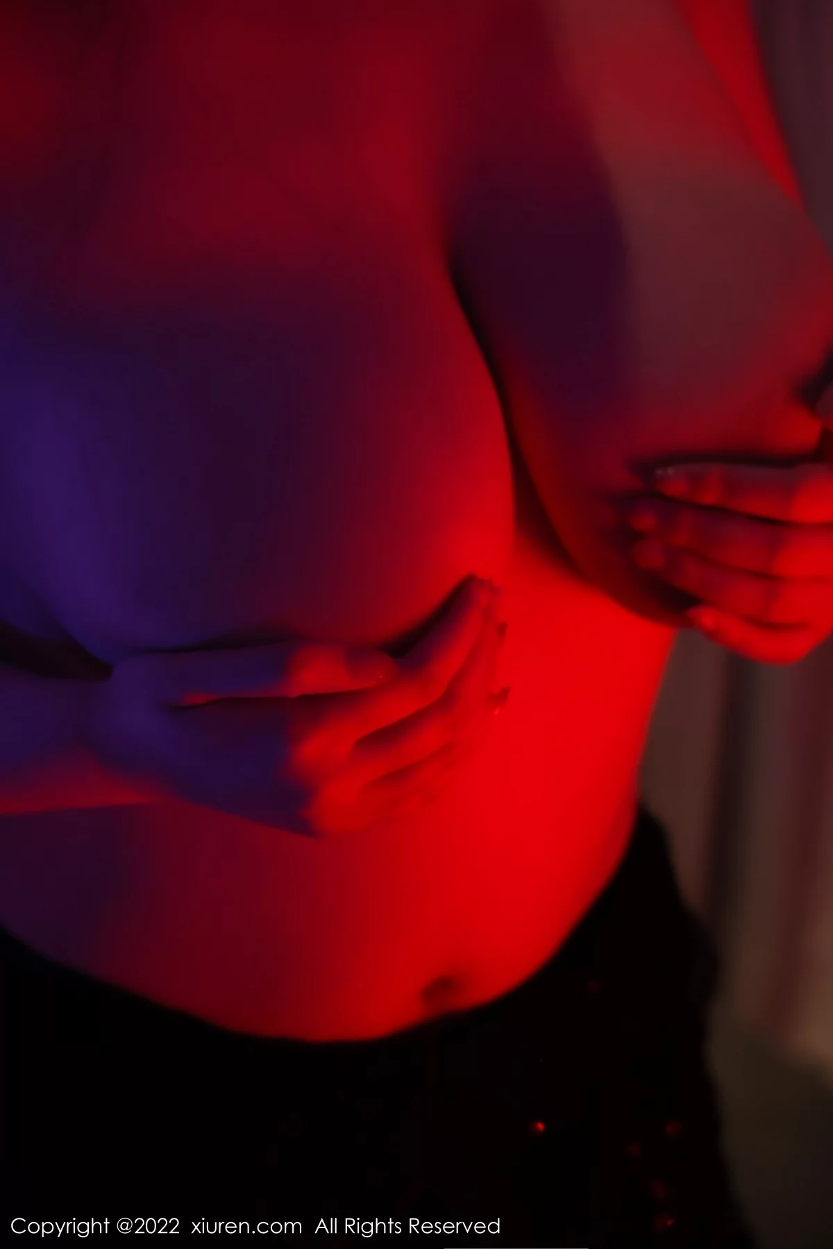 [[XiuRen秀人网]秀人网]No.4982_模特王俪丁小宝贝私房性感黑丝轻透薄纱吊裙秀傲人豪乳诱惑写真49P