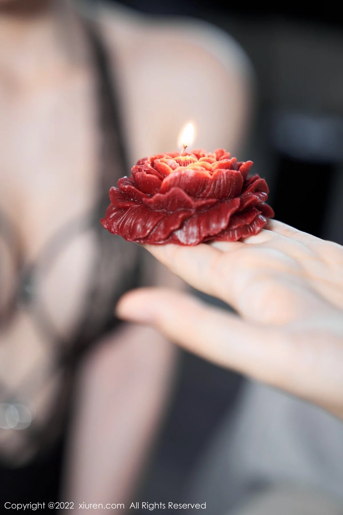 [[XiuRen秀人网]秀人网]No.5133_女神周于希Sally心愿旅拍私房黑色情趣薄纱秀豪乳撩人诱惑写真83P