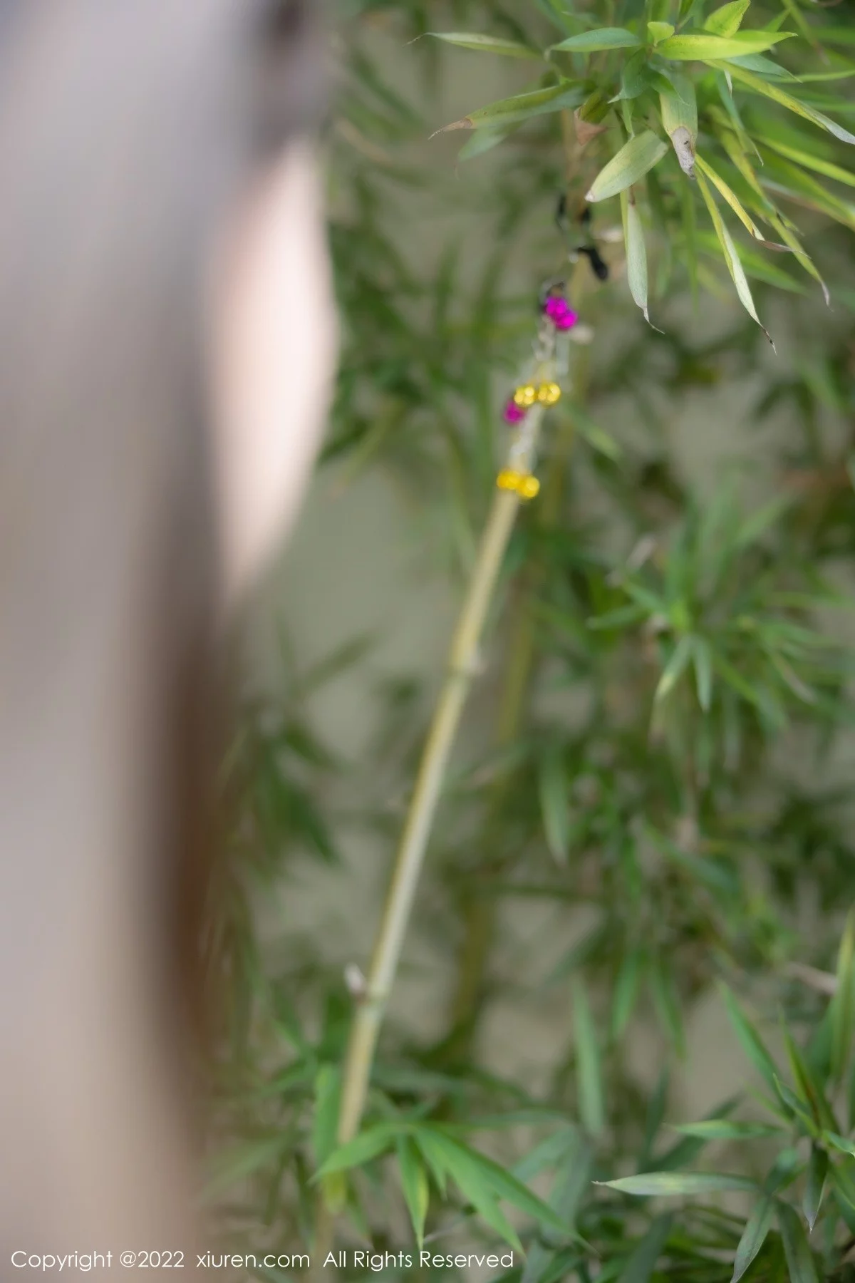 [[XiuRen秀人网]秀人网]No.5266_模特豆瓣酱私房浴室性感红色服饰配丁字裤秀翘臀丰满诱惑写真86P