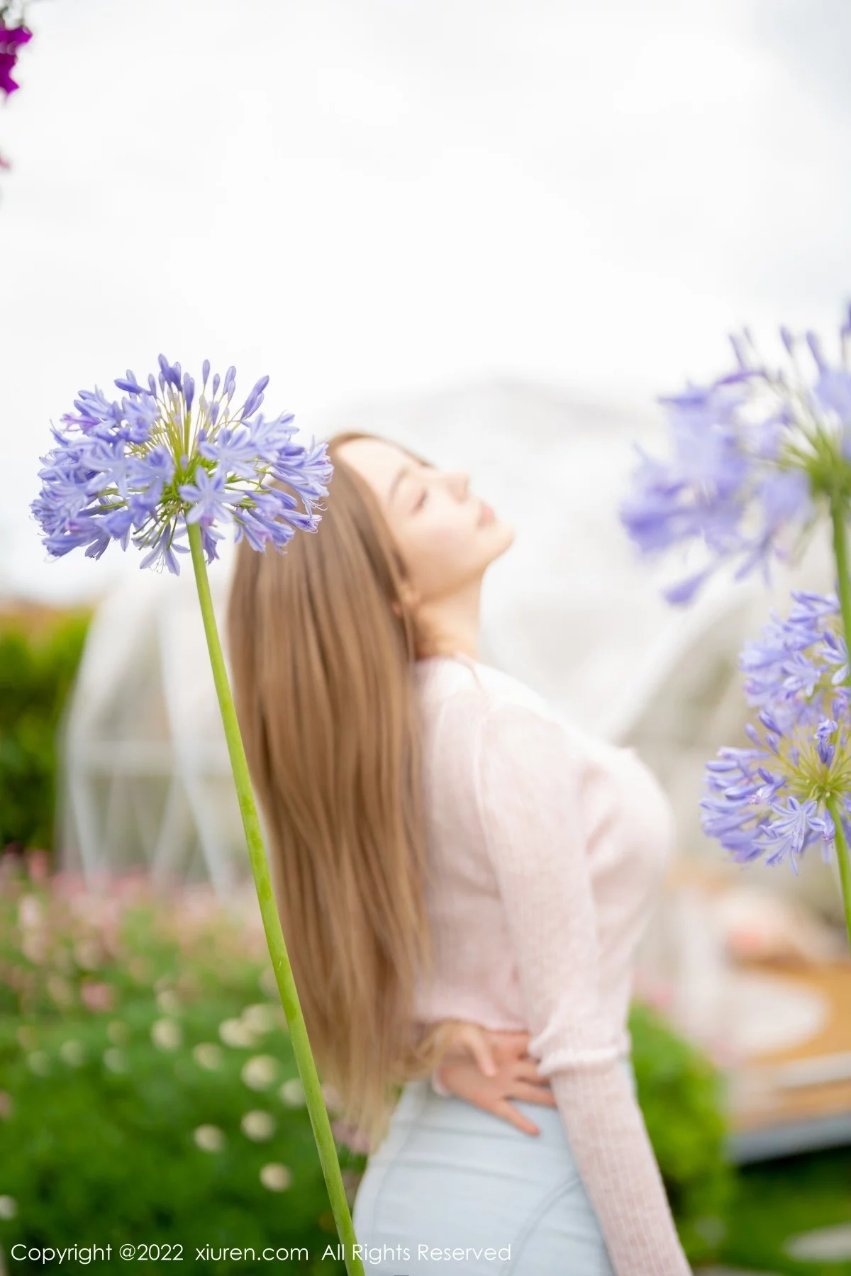 [[XiuRen秀人网]秀人网]No.5295_女神朱可儿Flora大理旅拍粉色上衣配超薄无内肉丝撩人诱惑写真71P