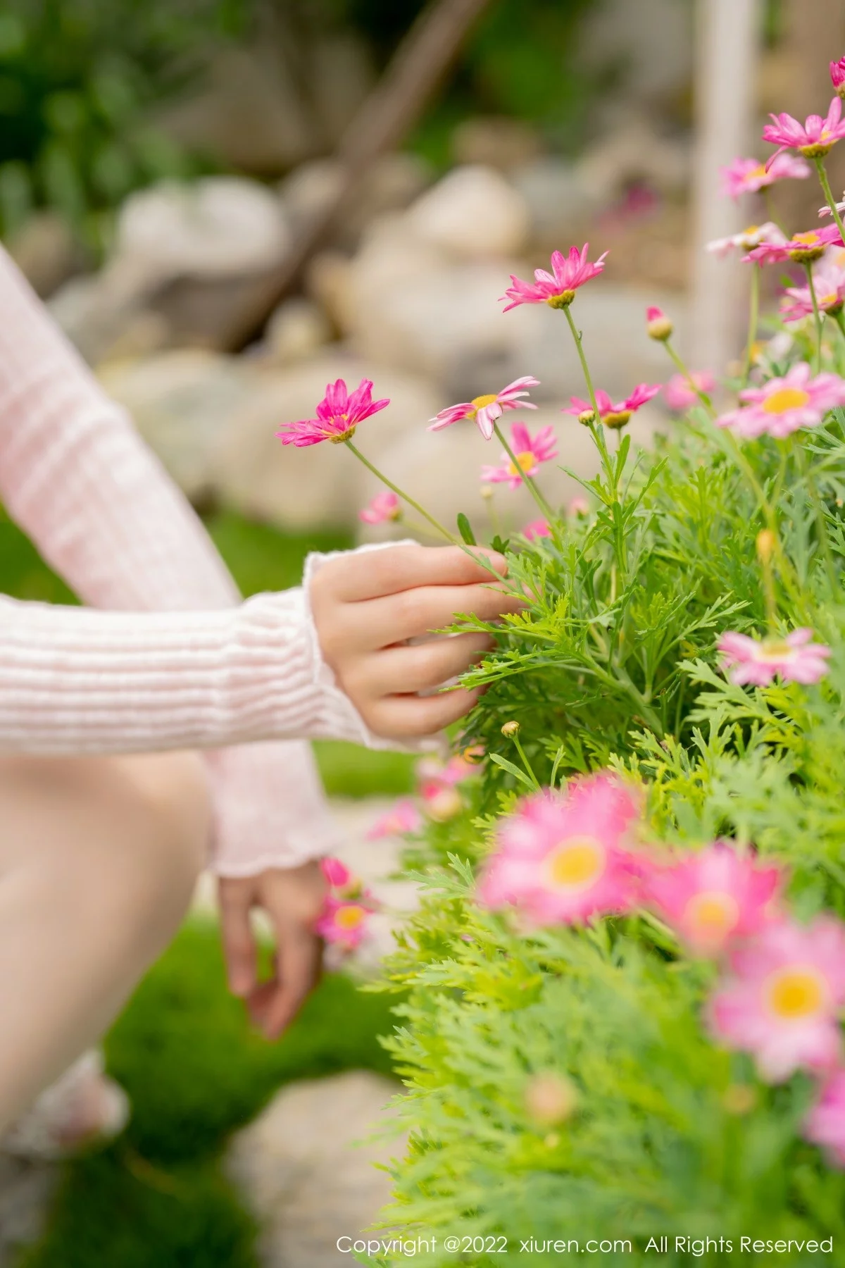 [[XiuRen秀人网]秀人网]No.5295_女神朱可儿Flora大理旅拍粉色上衣配超薄无内肉丝撩人诱惑写真71P