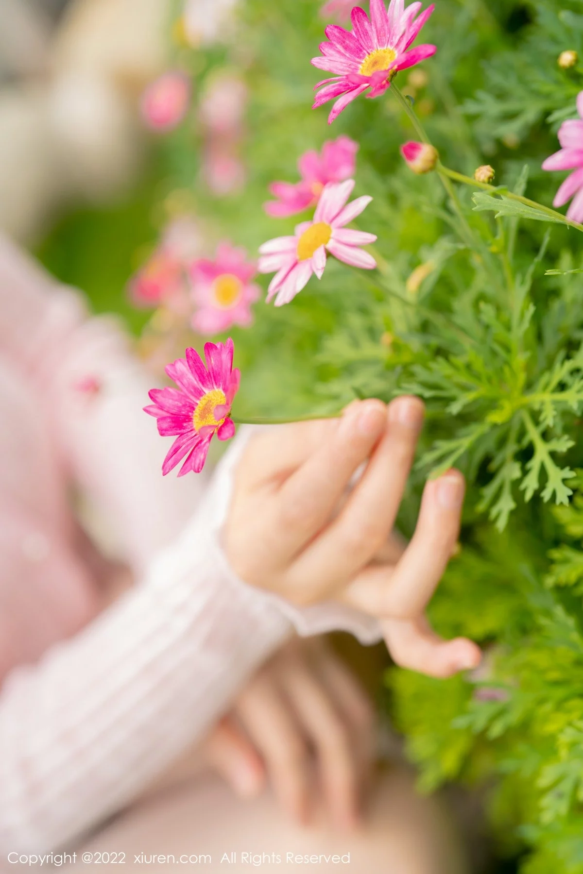 [[XiuRen秀人网]秀人网]No.5295_女神朱可儿Flora大理旅拍粉色上衣配超薄无内肉丝撩人诱惑写真71P