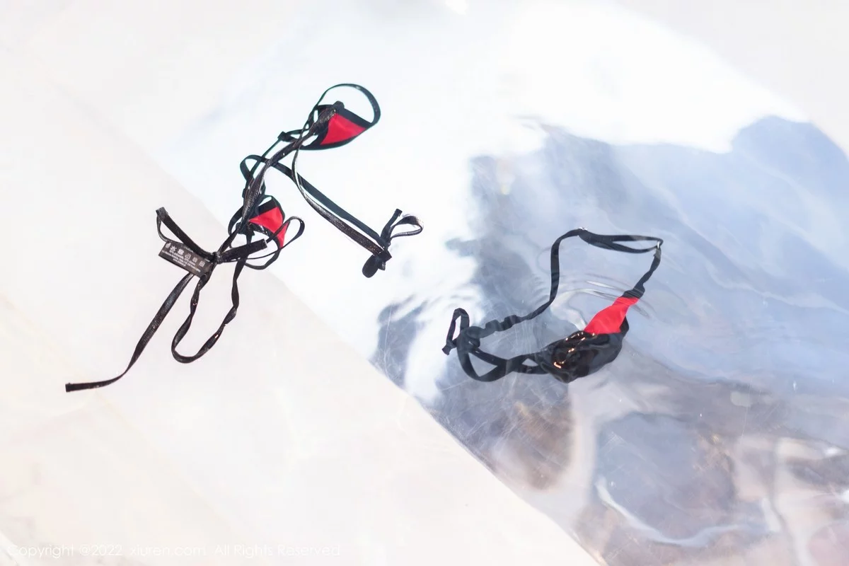 [[XiuRen秀人网]秀人网]No.5388_女神刘钰儿私房黑色网纱服配性感情趣内衣秀惹火身材诱惑写真82P