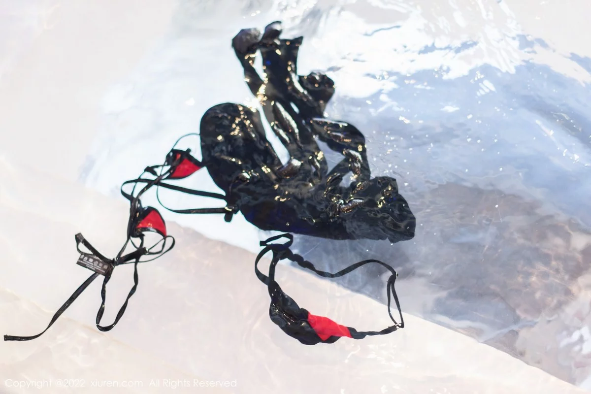 [[XiuRen秀人网]秀人网]No.5388_女神刘钰儿私房黑色网纱服配性感情趣内衣秀惹火身材诱惑写真82P