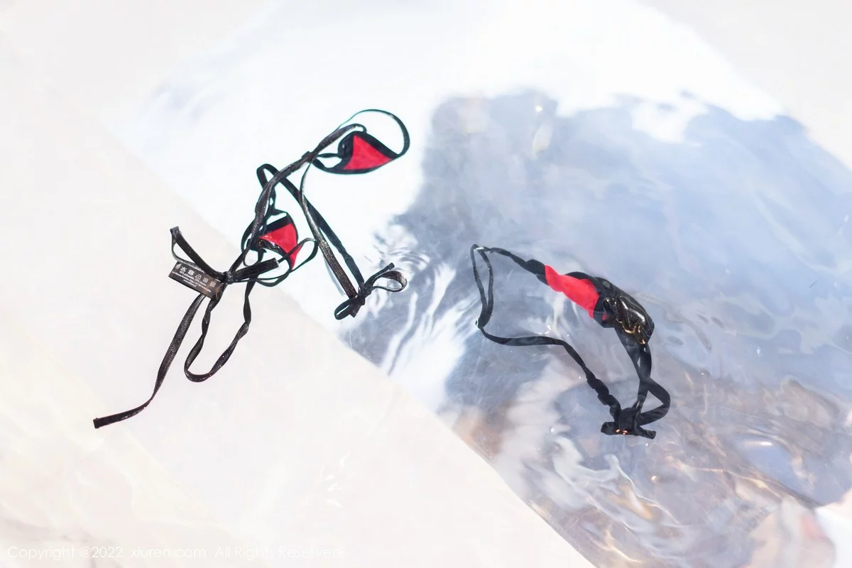 [[XiuRen秀人网]秀人网]No.5388_女神刘钰儿私房黑色网纱服配性感情趣内衣秀惹火身材诱惑写真82P