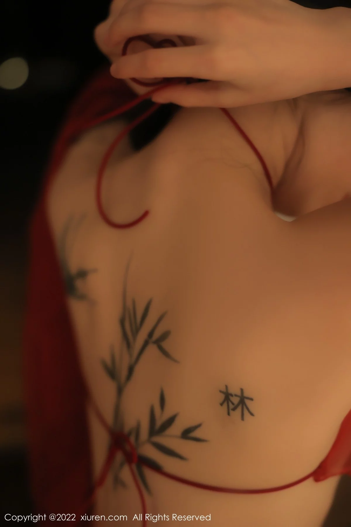 [[XiuRen秀人网]秀人网]No.5527_模特奶瓶大理旅拍私房性感红色轻透古装服秀完美身材诱惑写真78P