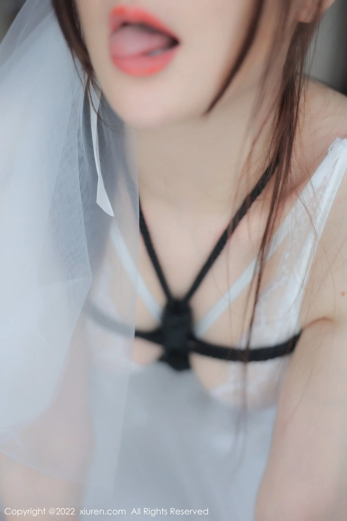 [[XiuRen秀人网]秀人网]No.5565_模特顾乔楠Cora白色轻透薄纱公主裙配蕾丝吊袜极致诱惑写真78P