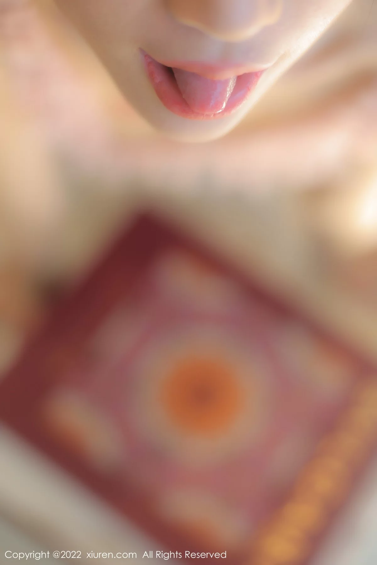 [[XiuRen秀人网]秀人网]No.5489_模特美七Mia西双版纳旅拍私房半脱露黑色蕾丝内衣惹火诱惑写真97P