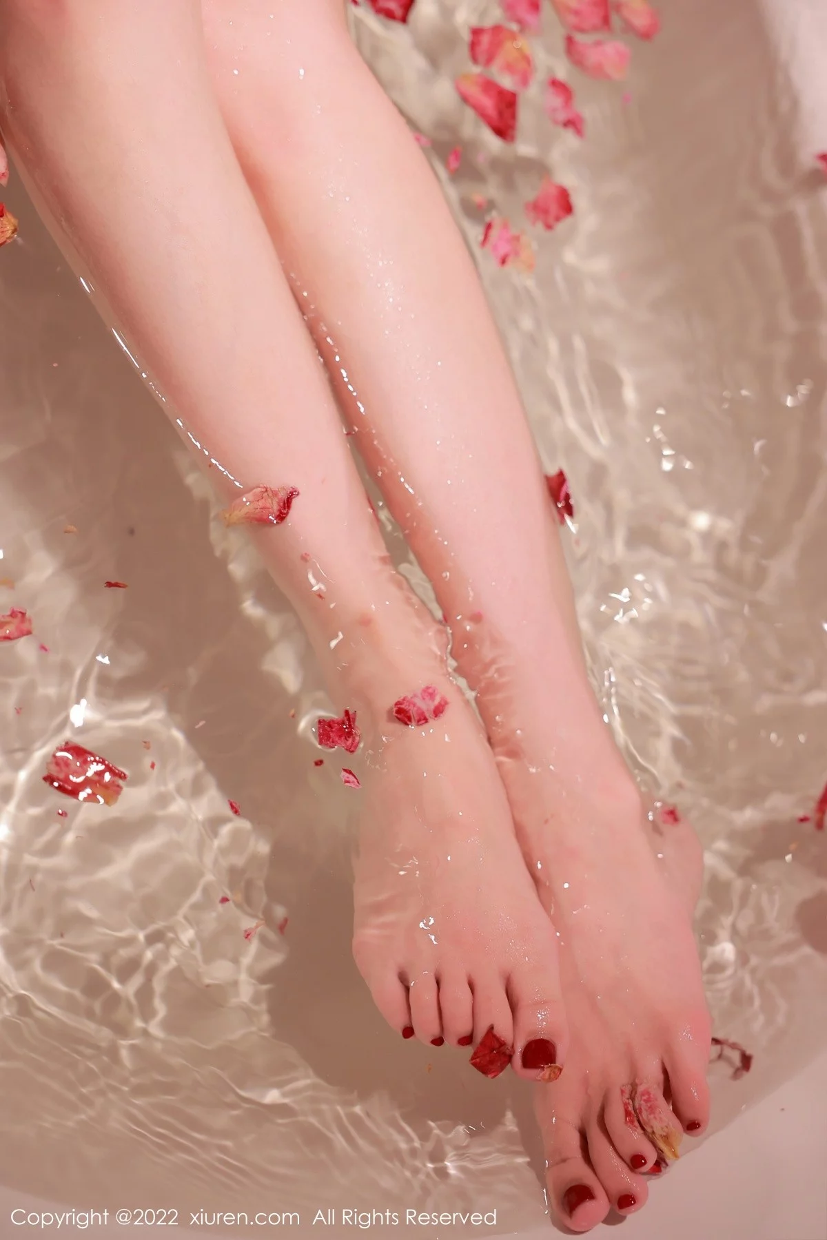 [[XiuRen秀人网]秀人网]No.5496_模特tina_甜仔浴缸场景红色轻透网纱外衣秀凹凸身材迷人诱惑写真50P