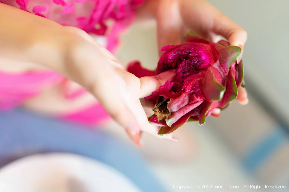 [[XiuRen秀人网]秀人网]No.6058_模特张思允Nice脱玫红色外衣露性感轻透薄纱内衣惹火诱惑写真75P