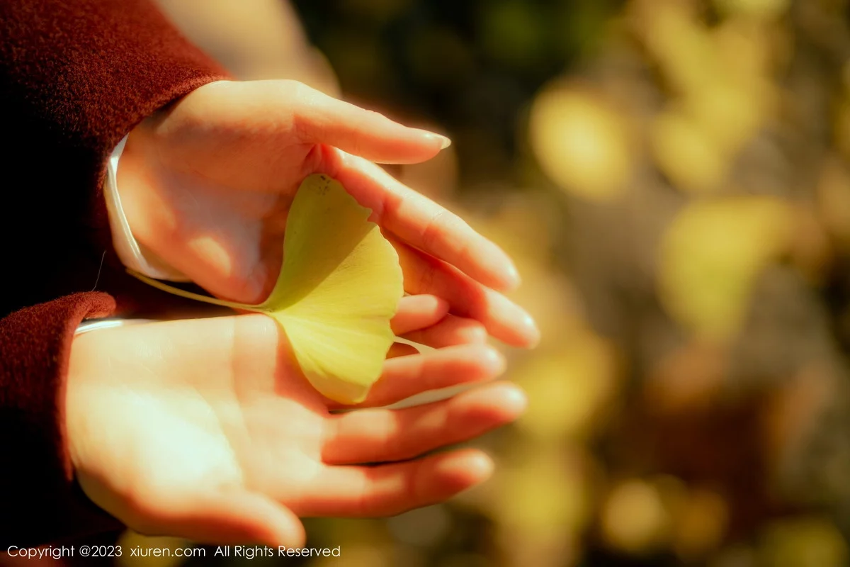 [[XiuRen秀人网]秀人网]No.6137_模特婠婠么性感白T配黑色短裙露超薄黑丝秀曼妙身姿诱惑写真91P