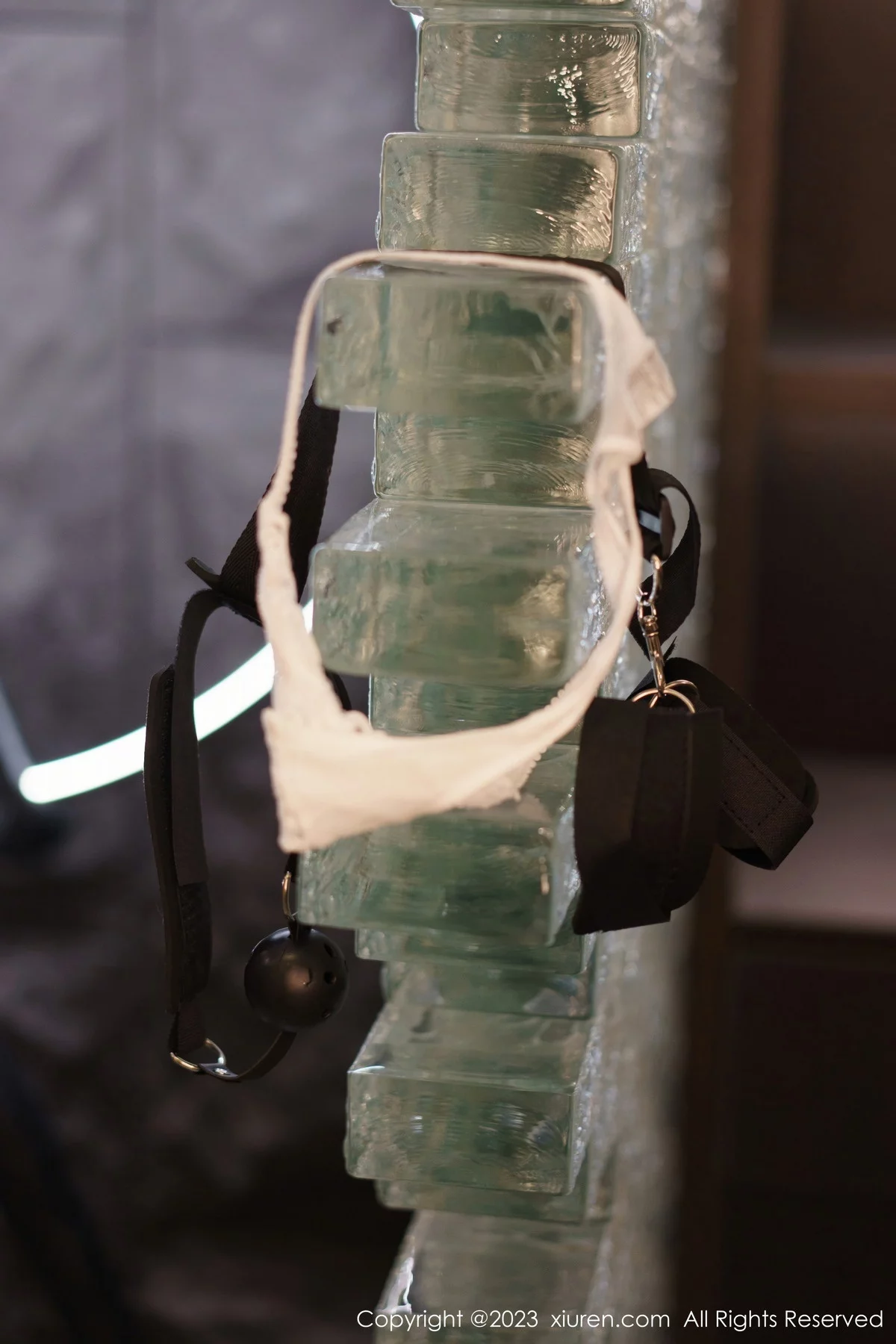 [[XiuRen秀人网]秀人网]No.6206_模特合集女神icy猪＆laura阿姣性感紧身服饰秀完美身材诱惑写真72P