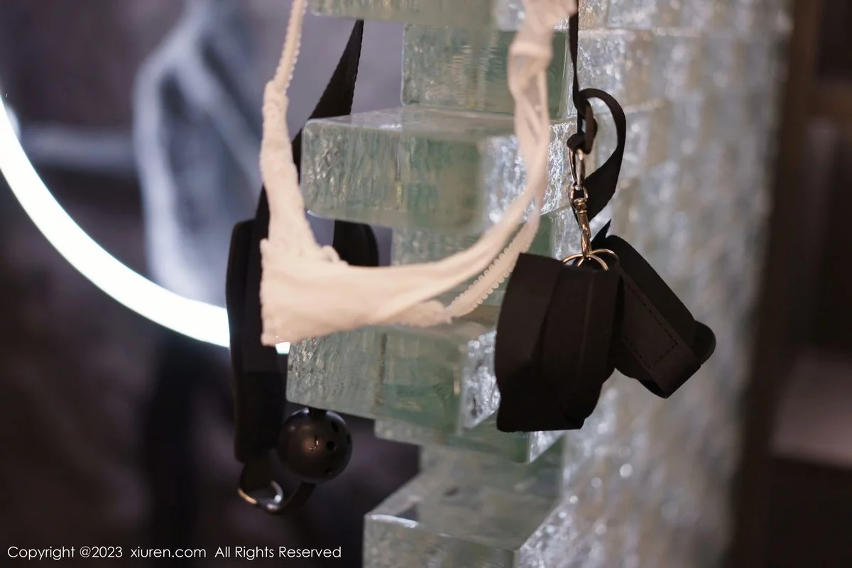 [[XiuRen秀人网]秀人网]No.6206_模特合集女神icy猪＆laura阿姣性感紧身服饰秀完美身材诱惑写真72P