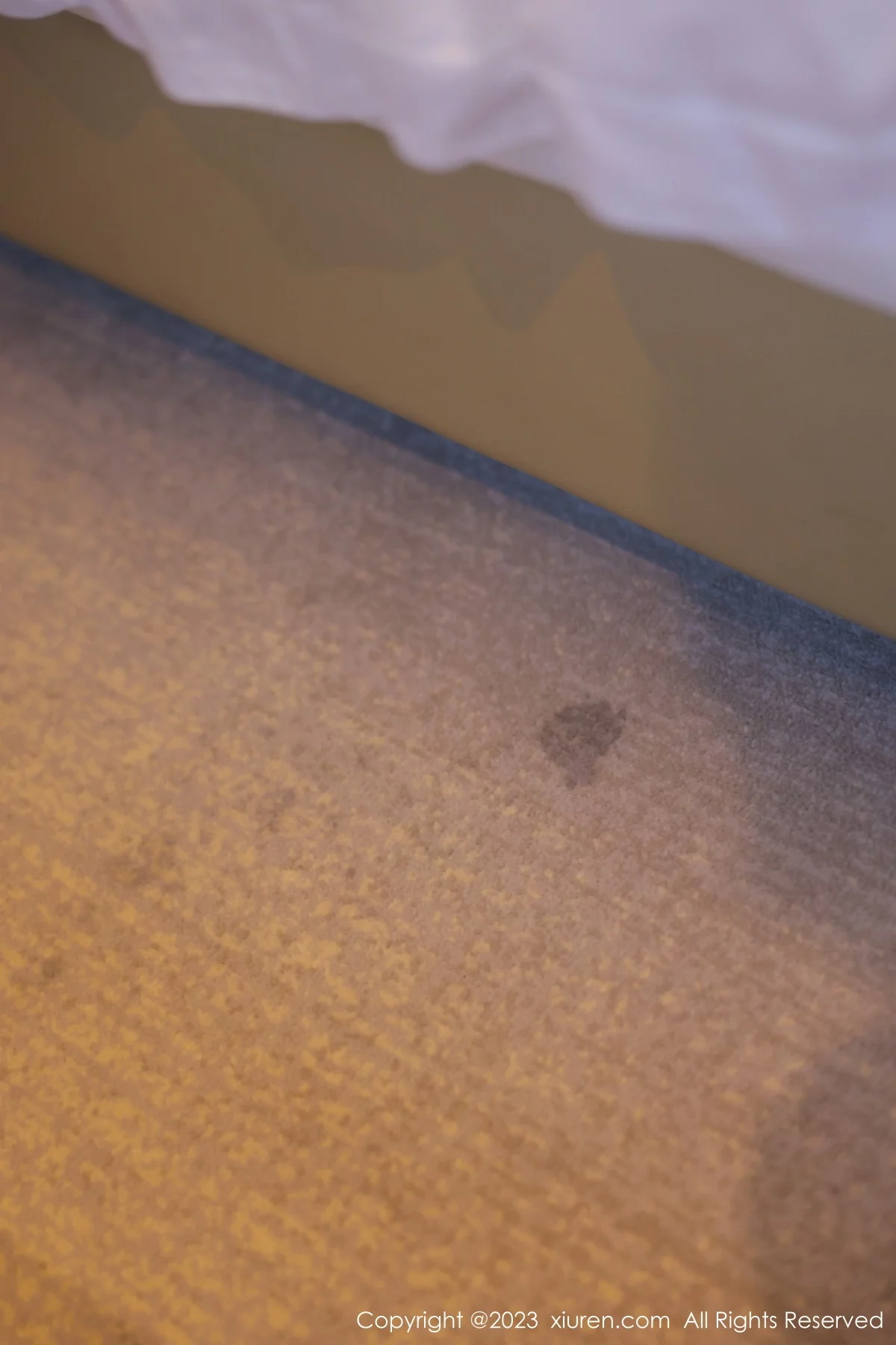 [[XiuRen秀人网]秀人网]No.6329_模特谢小蒽私房半脱露粉色蕾丝内衣配超薄无内肉丝惹火诱惑写真94P