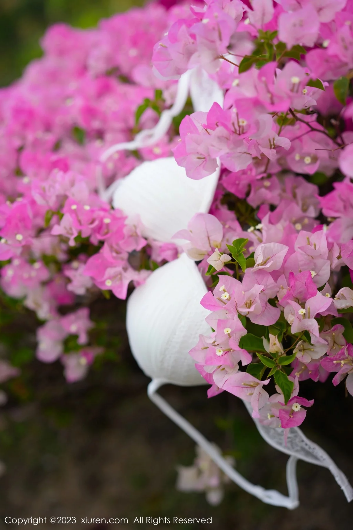 [[XiuRen秀人网]秀人网]No.6359_模特laura阿姣蓝色短款上衣配白色长裤半脱秀丰满身材诱惑写真68P