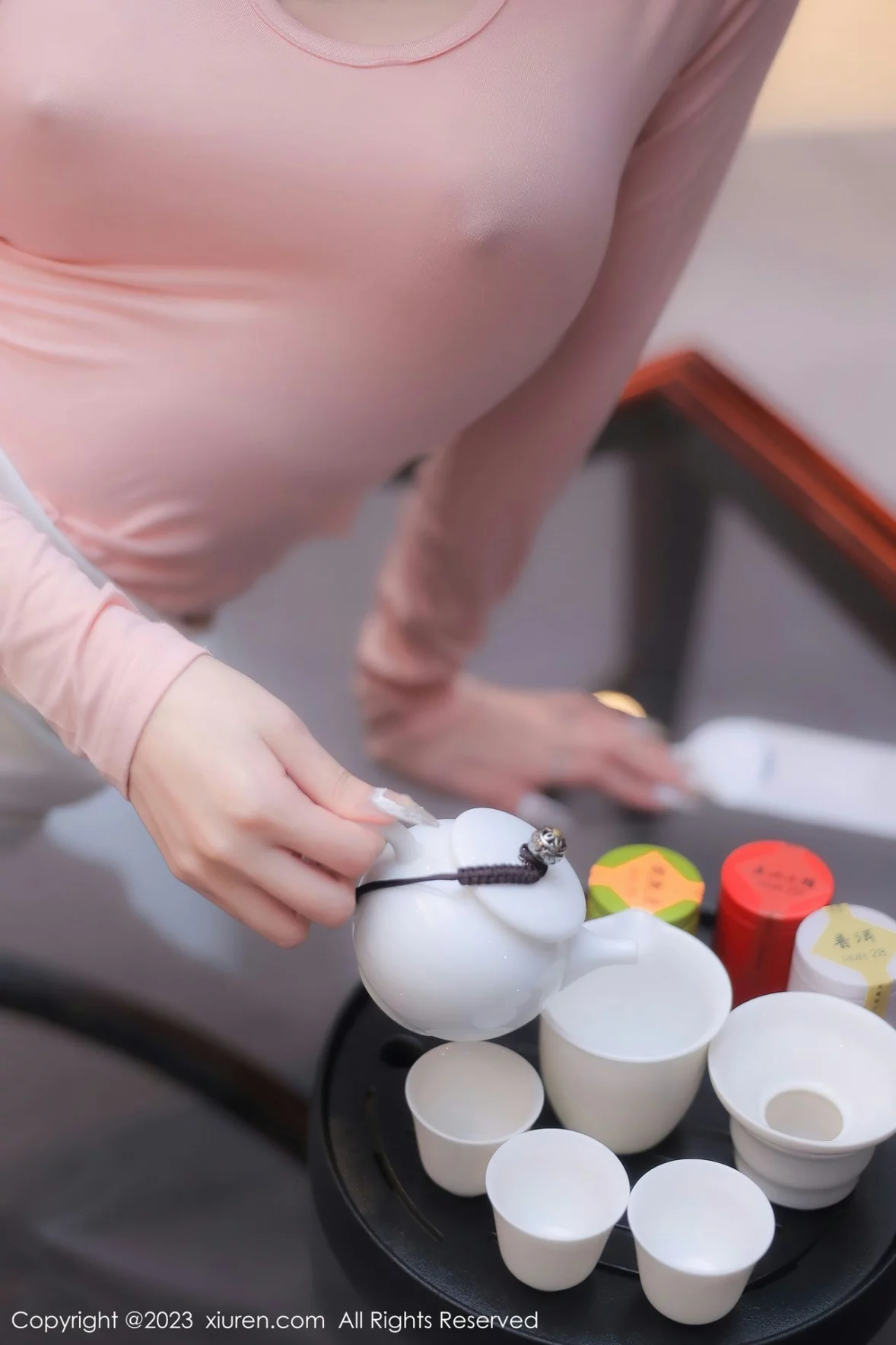 [[XiuRen秀人网]秀人网]No.6367_模特谢小蒽性感粉色上衣配白短裙露超薄无内肉丝撩人诱惑写真91P