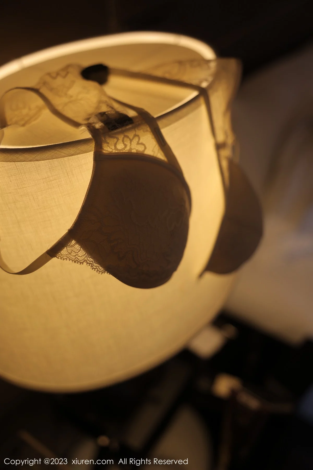 [[XiuRen秀人网]秀人网]No.6290_模特yoo优优私房床上性感白色蕾丝内衣配超薄黑丝撩人诱惑写真84P