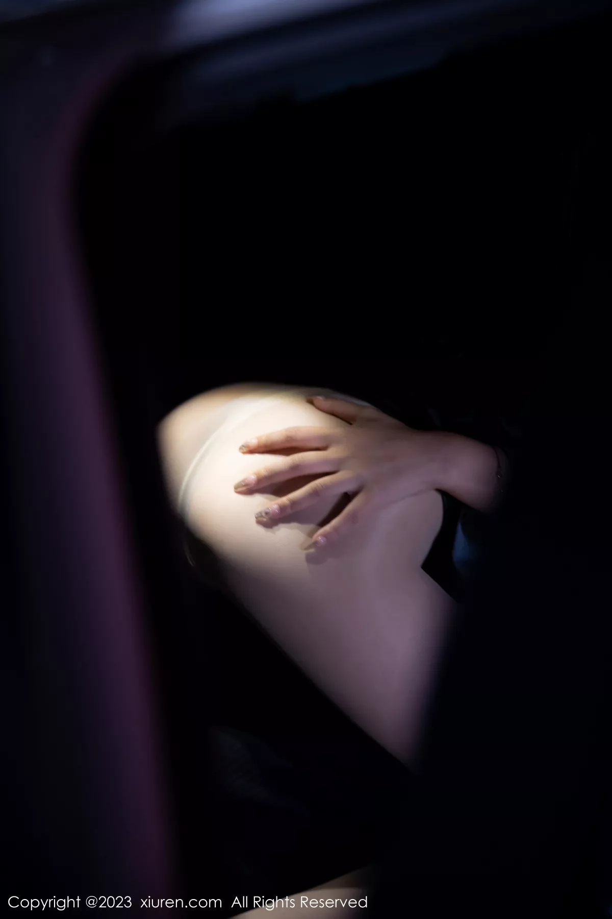 [[XiuRen秀人网]秀人网]No.7431_女神幼幼车内场景黑色薄纱上衣配黑皮短裙露闪亮肉丝诱惑写真83P