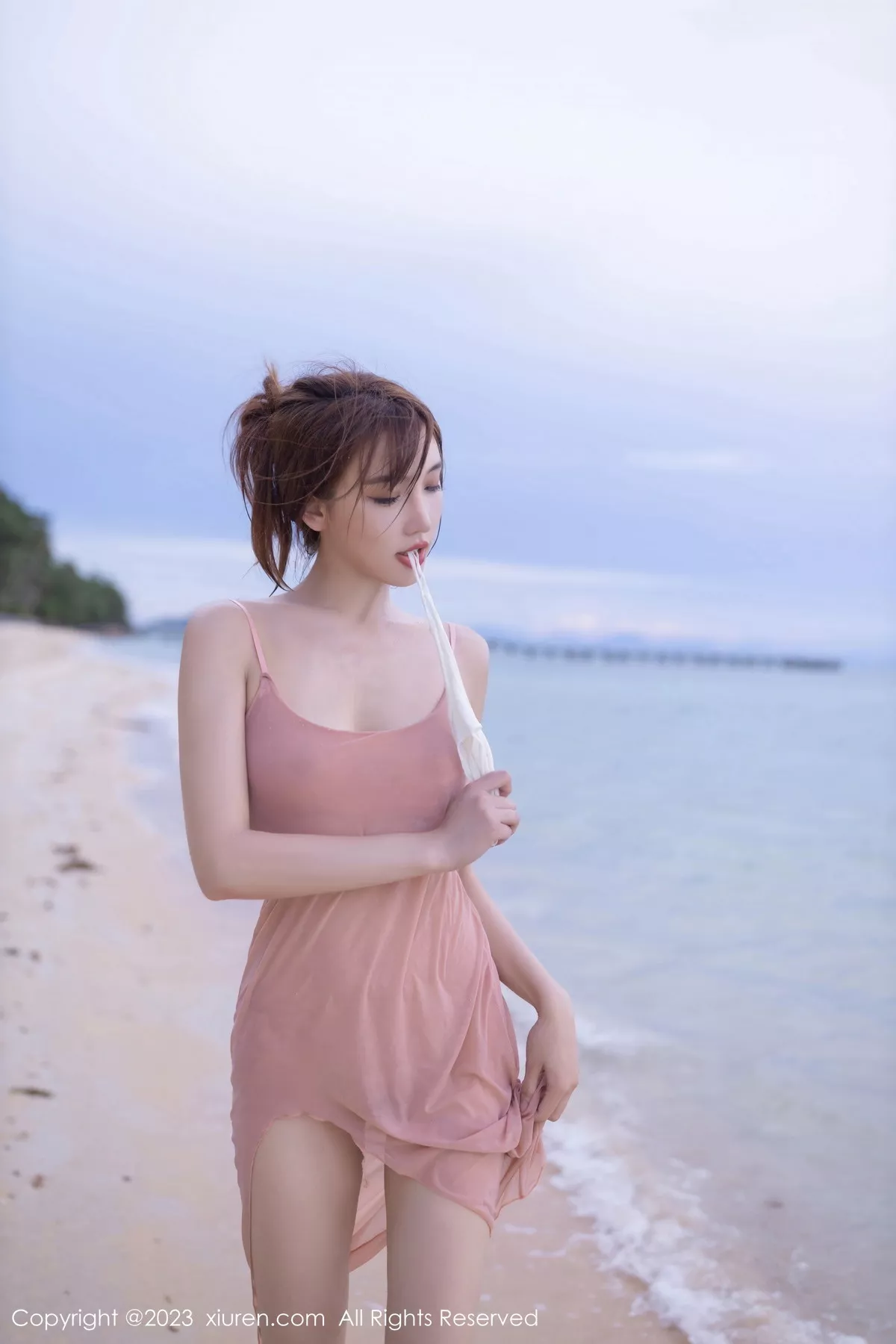 [[XiuRen秀人网]秀人网]No.7501_模特陆萱萱性感粉色蕾丝内衣配超薄无内肉丝秀惹火身材诱惑写真77P