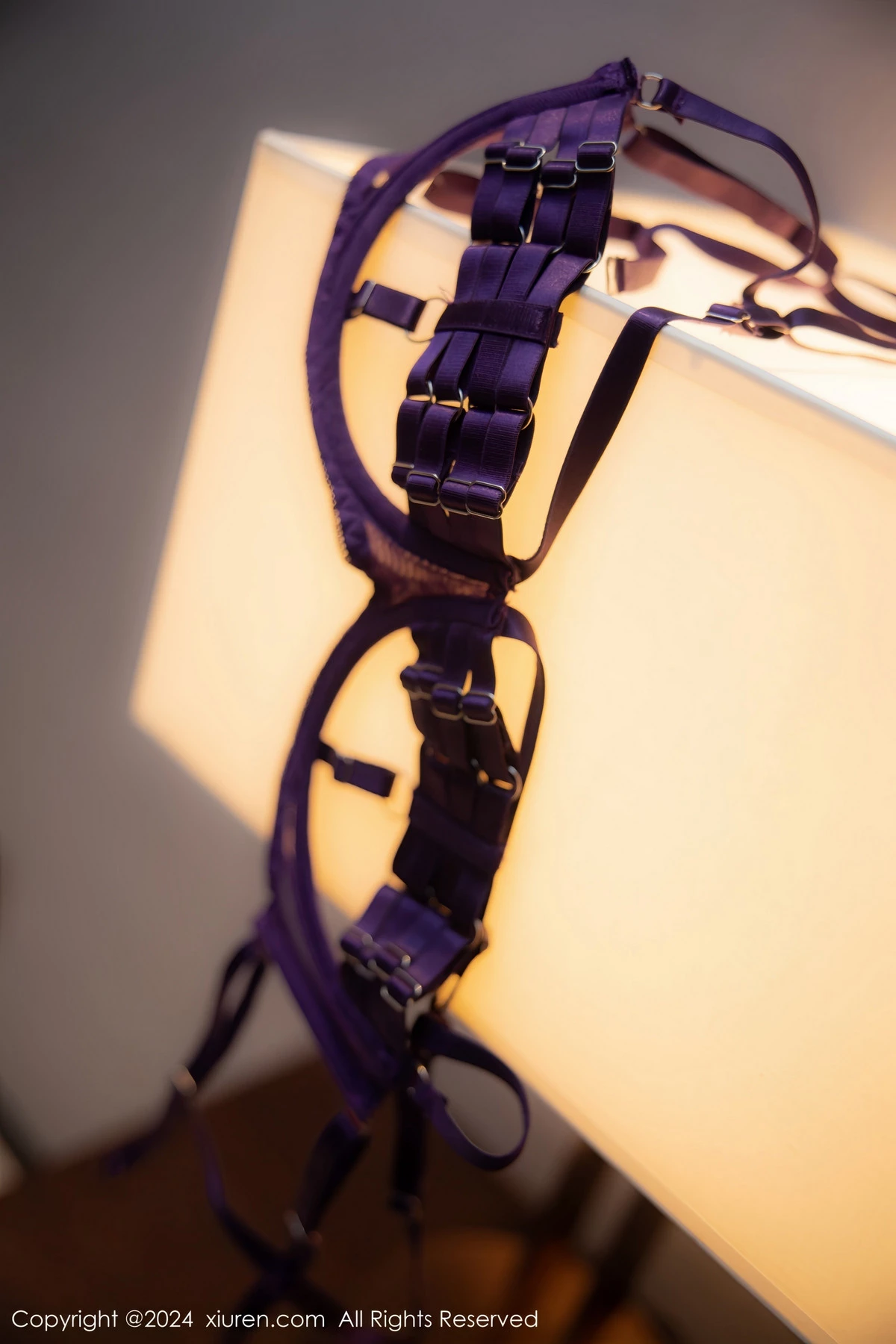 [[XiuRen秀人网]秀人网]No.8046_新人模特李若汐黑色薄纱长裙露紫色情趣内衣秀惹火身段诱惑写真94P