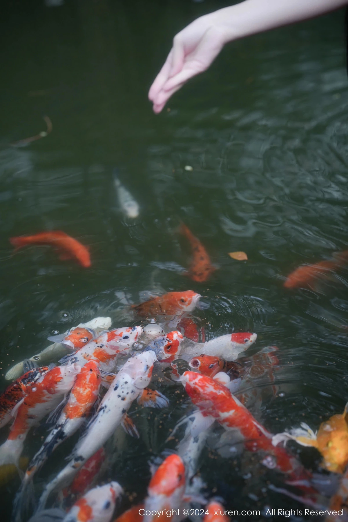 [[XiuRen秀人网]秀人网]No.7996_新人模特伊雪儿户外性感深色花纹比基尼秀完美身材靓丽迷人写真58P