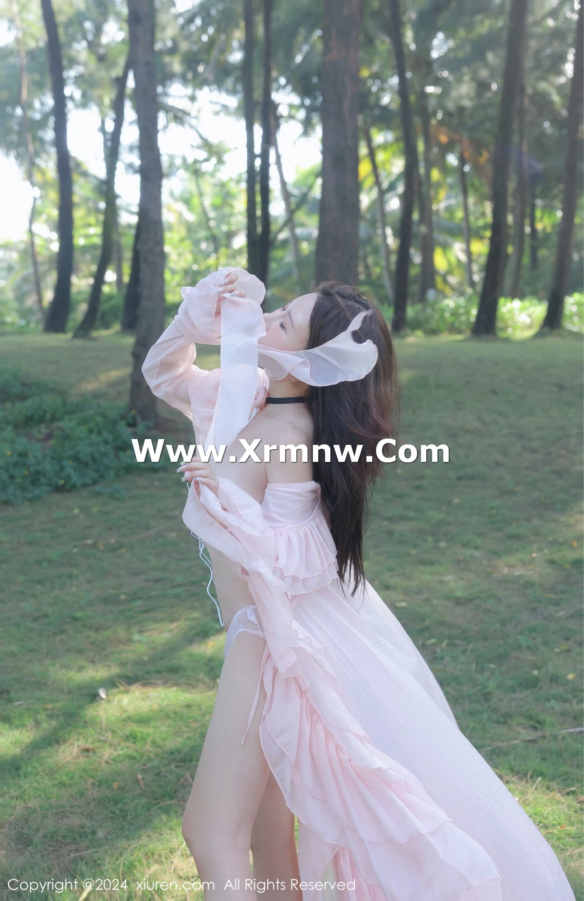 [[XiuRen秀人网]秀人网]No.8007_模特小薯条nienie户外性感粉色薄纱长裙半脱秀惹火身材诱惑写真59P