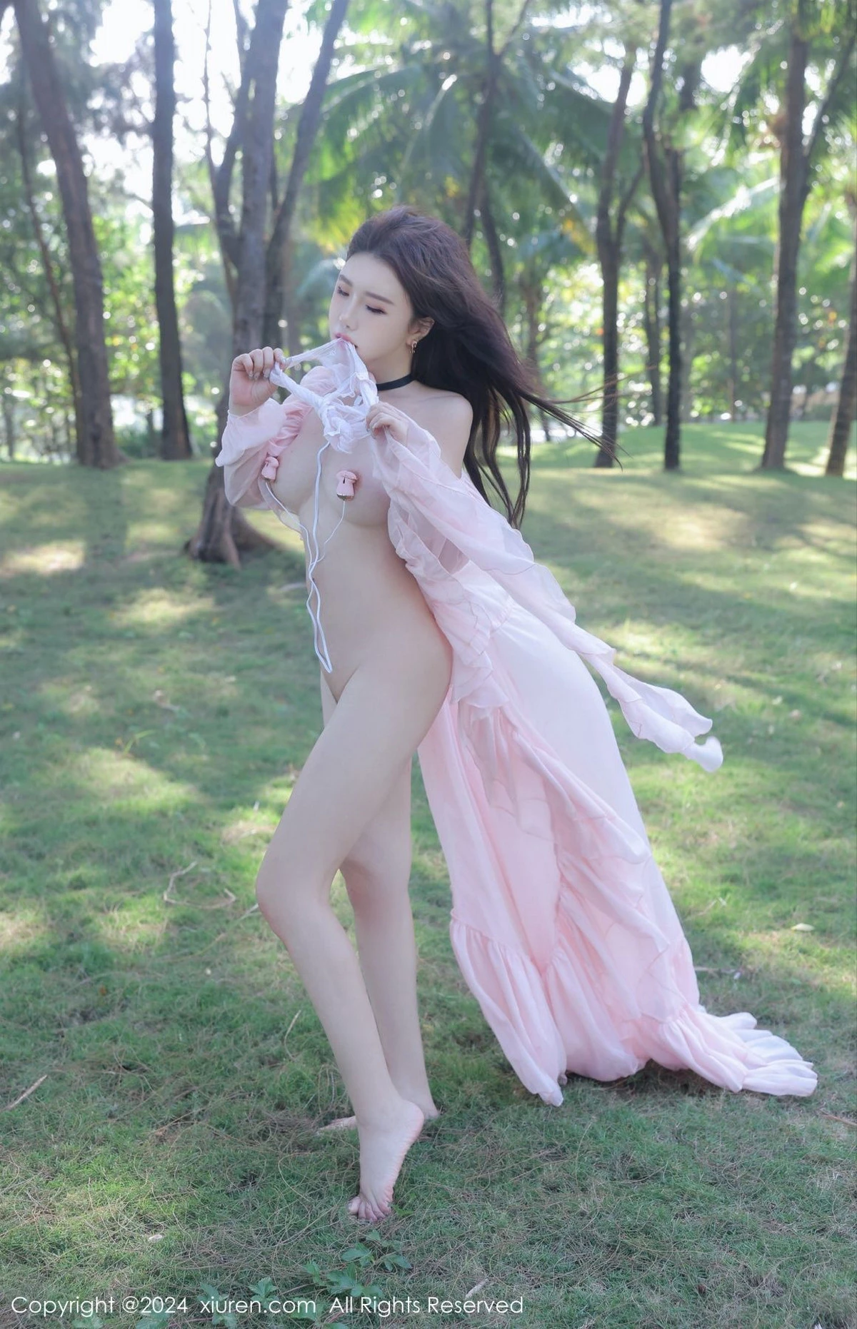 [[XiuRen秀人网]秀人网]No.8007_模特小薯条nienie户外性感粉色薄纱长裙半脱秀惹火身材诱惑写真59P