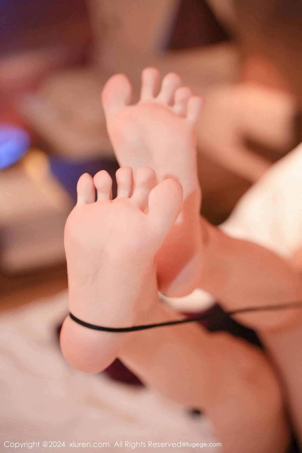 [[XiuRen秀人网]秀人网]No.8338_模特苏曼兮私房性感暗红色服饰配黑丝袜秀丰腴美臀撩人诱惑写真83P