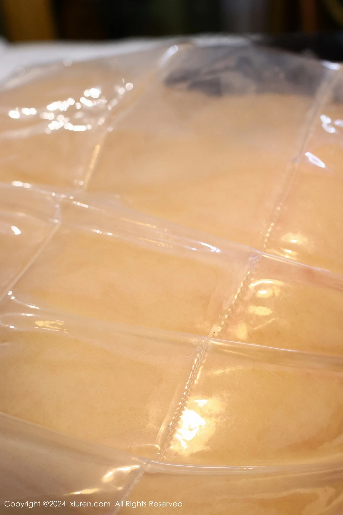 [[XiuRen秀人网]秀人网]No.8517_模特小薯条nienie性感花色睡衣+透明胶衣短裙秀惹火身材诱惑写真78P