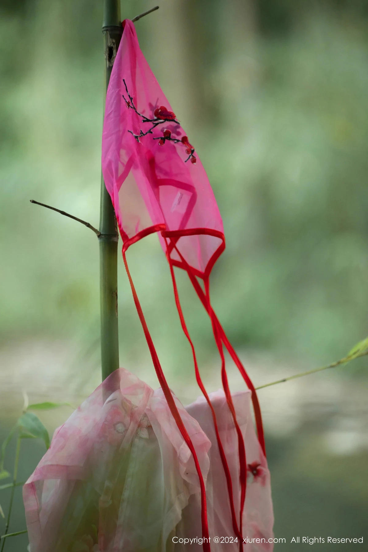 [[XiuRen秀人网]秀人网]No.9100_模特诗诗kiki户外性感粉色古风薄纱服饰秀丰腴身姿惹火诱惑写真70P