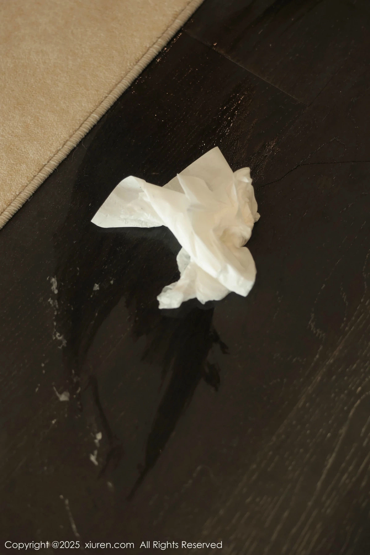 [[XiuRen秀人网]秀人网]No.9833_模特Candy糖糖性感喜庆服饰露红色情趣服饰秀丰腴身材诱惑写真88P