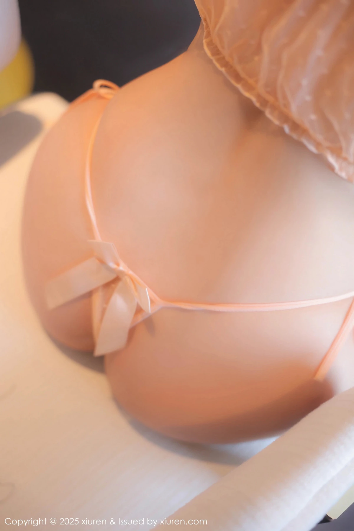 [[XiuRen秀人网]秀人网]No.9895_模特蛋蛋宝性感浅色薄透内衣配黑色丝袜秀丰腴身姿惹火诱惑写真60P