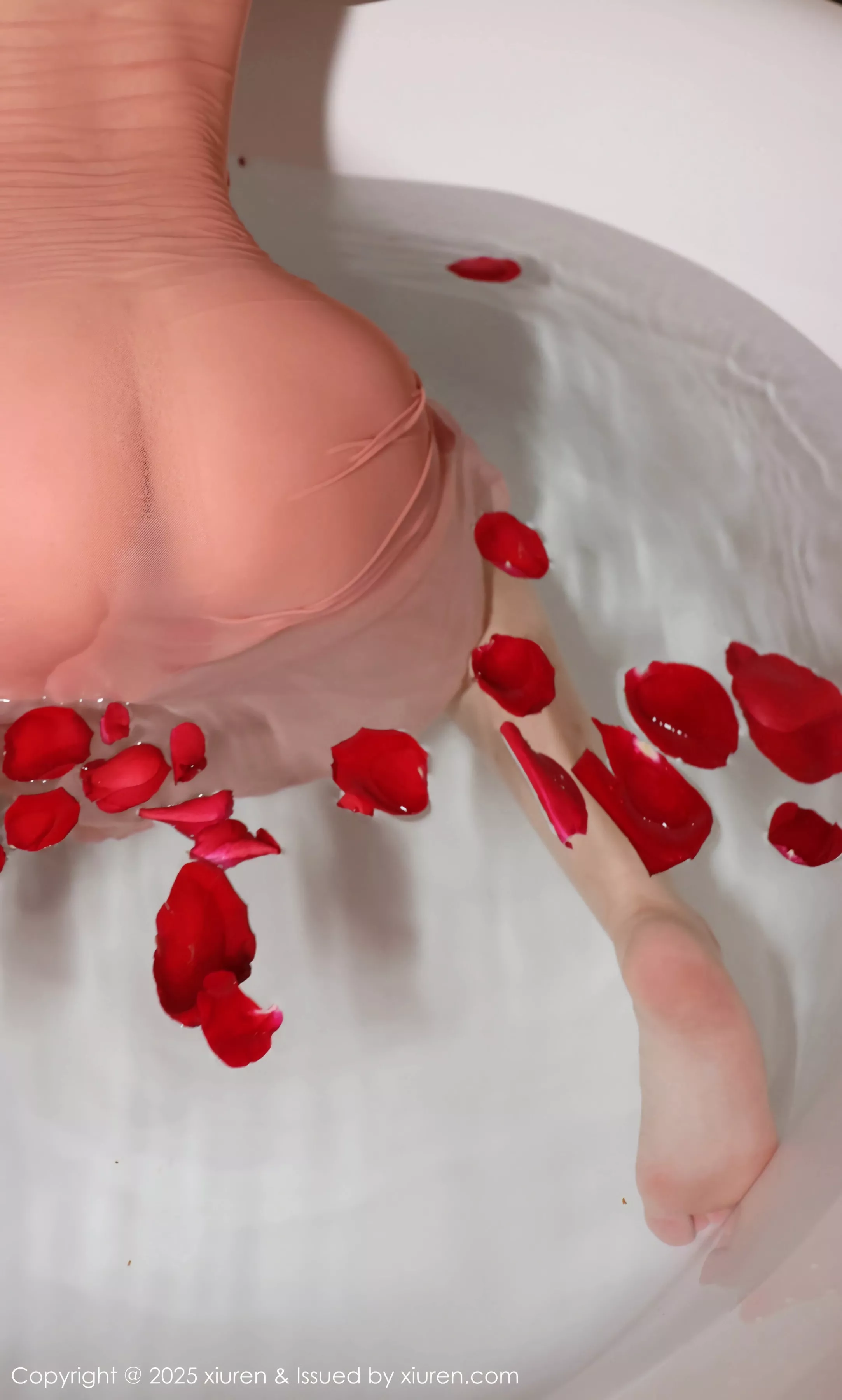 [[XiuRen秀人网]秀人网]No.10229_模特小薯条nienie性感黑色连体丝袜+粉色吊带长裙秀美腿诱惑写真84P