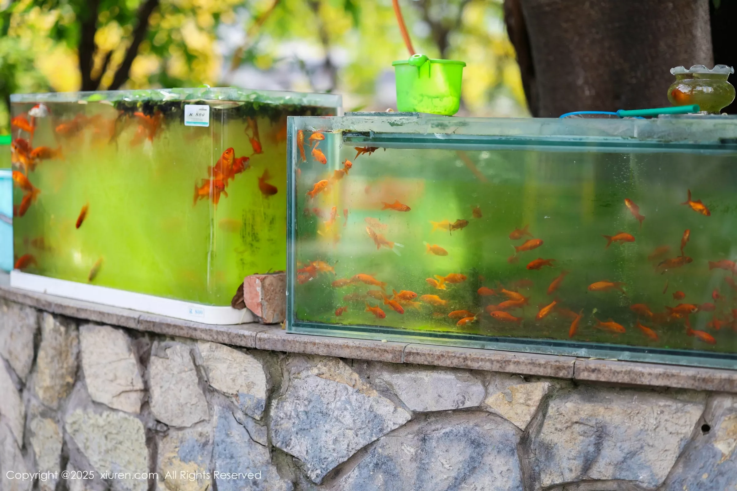 [[XiuRen秀人网]秀人网]No.10247_模特茂木希子性感橙T露白色内衣配超薄肉丝秀完美身材诱惑写真80P