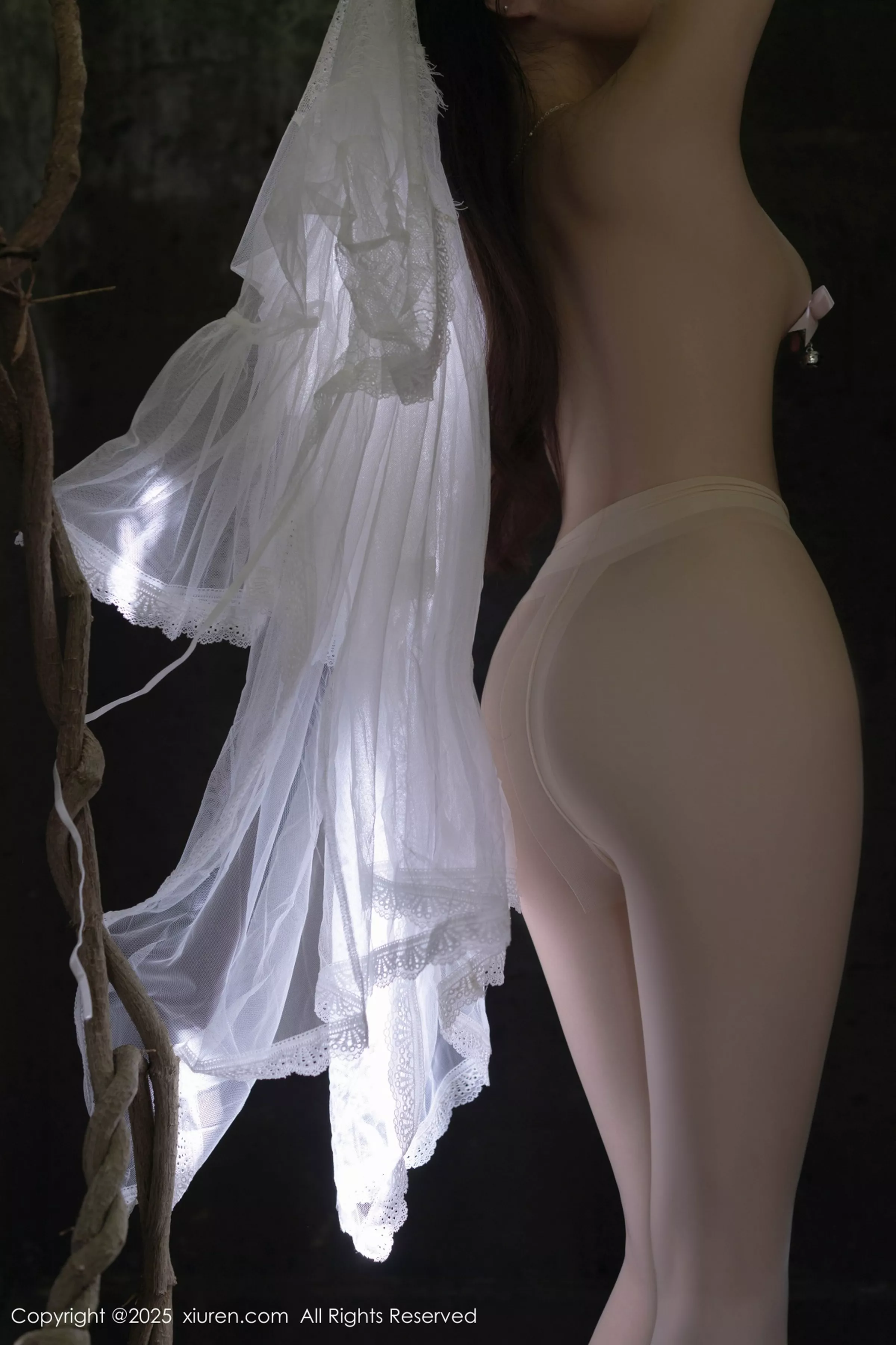 [[XiuRen秀人网]秀人网]No.10173_模特鱼子酱Fish性感白色轻透连衣裙透视秀惹火身材撩人诱惑写真80P